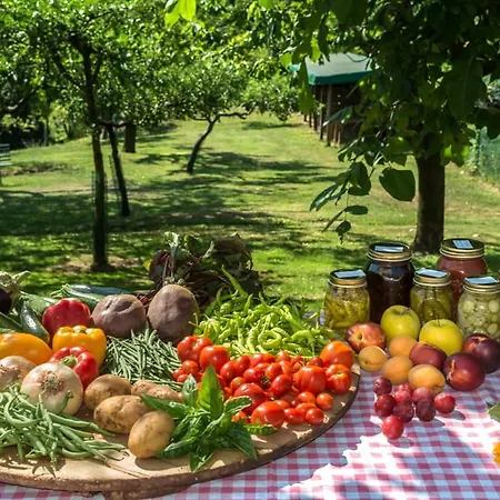 Feriegård Colli Berici Arcugnano