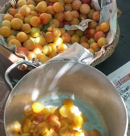 팜스테이 Colli Berici *