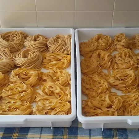 Colli Berici 팜스테이 *