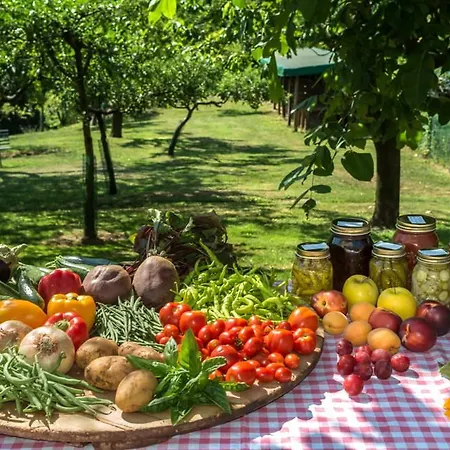 Farm stay Colli Berici Arcugnano