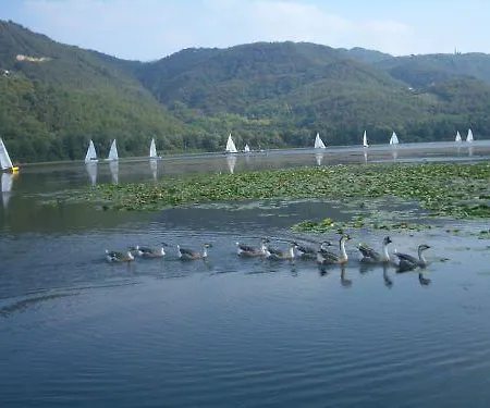 Colli Berici