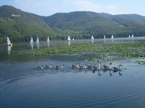 Colli Berici